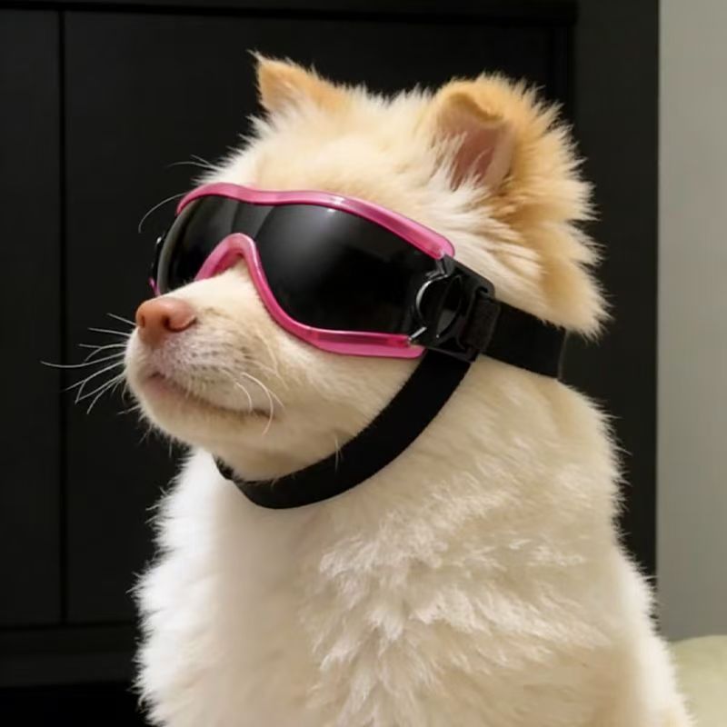 소형 중형견용 강아지 고글 UV 차단 방풍 애완견 선글 - Sunglass Retainer Cord 리뷰 및 가격